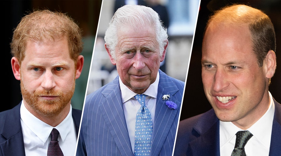 Nick Bullen says Prince William, Prince Harry made the 'right decision' not watching Princess Diana's death on 'The Crown'