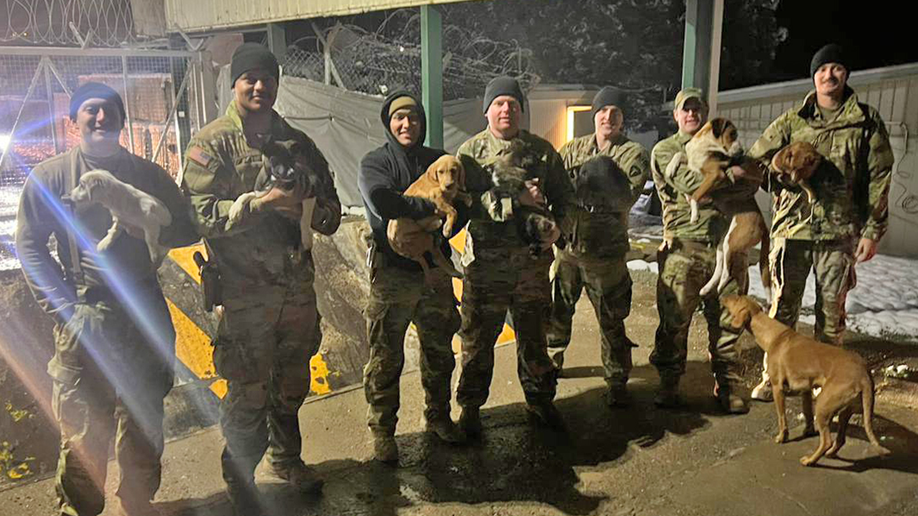 army soldiers and pets