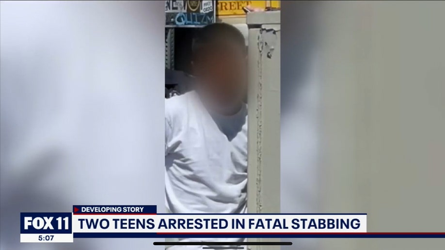 Teen who stabbed Tommy Lee 