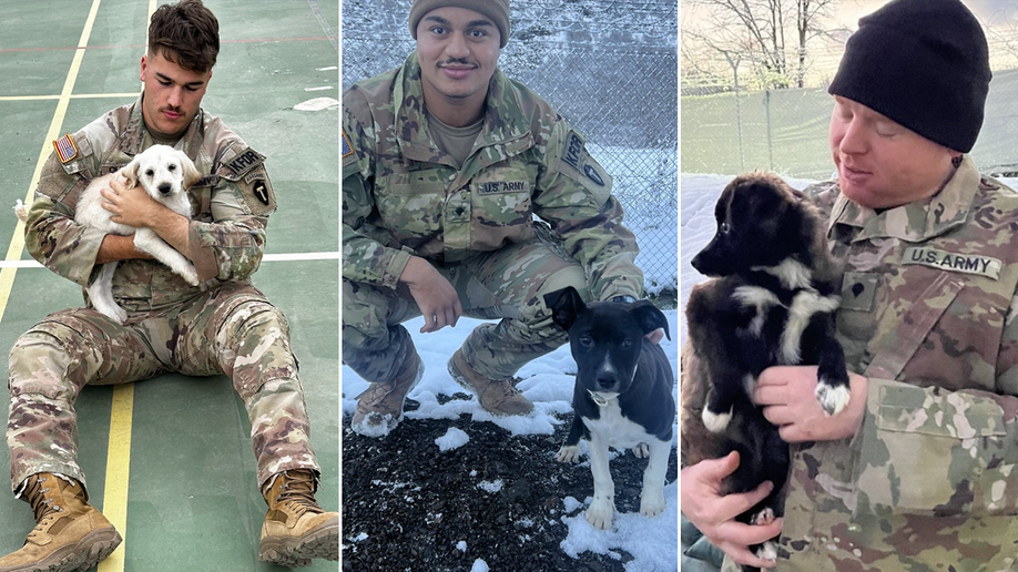army soldiers and pups split