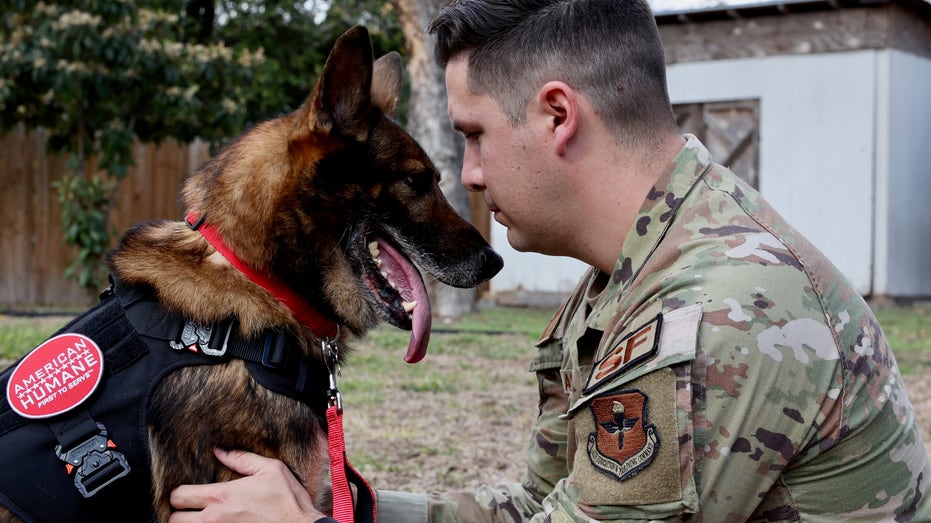 Dog that served our nation is reunited with its former Air Force handler: 'It's been a blessing'