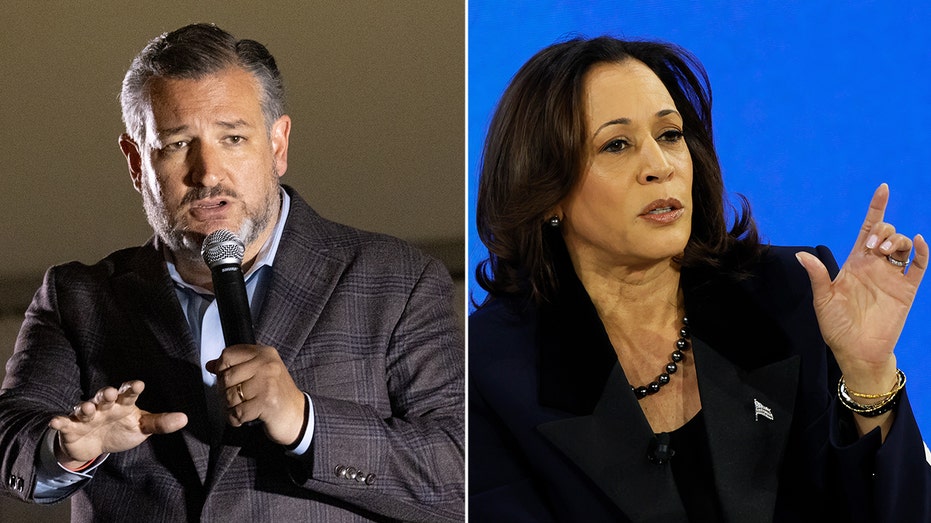 Sen Ted Cruz calls out VP Kamala Harris for Palestinian sympathy push: 'Undermining Israel'