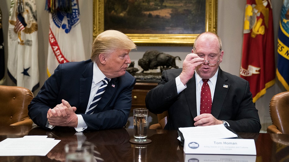 Ex-ICE chief Thomas Homan eyes ‘historic’ deportation if Trump’s re-elected: ‘No one’s off the table’