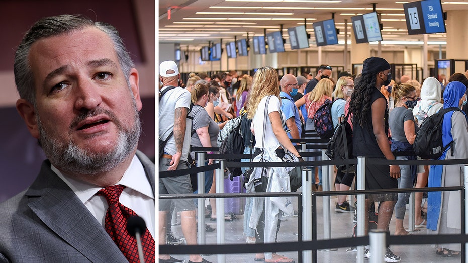 Cruz quizzes DHS on TSA screening of migrants boarding flights: ‘This is alarming’