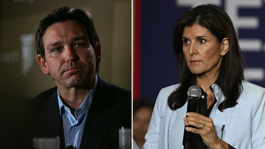 Haley on DeSantis heading to South Carolina before New Hampshire: 'We don't have to hop a state'