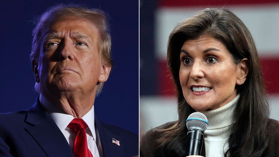 Nikki Haley closes to within four percentage points of Trump in surprise New Hampshire poll