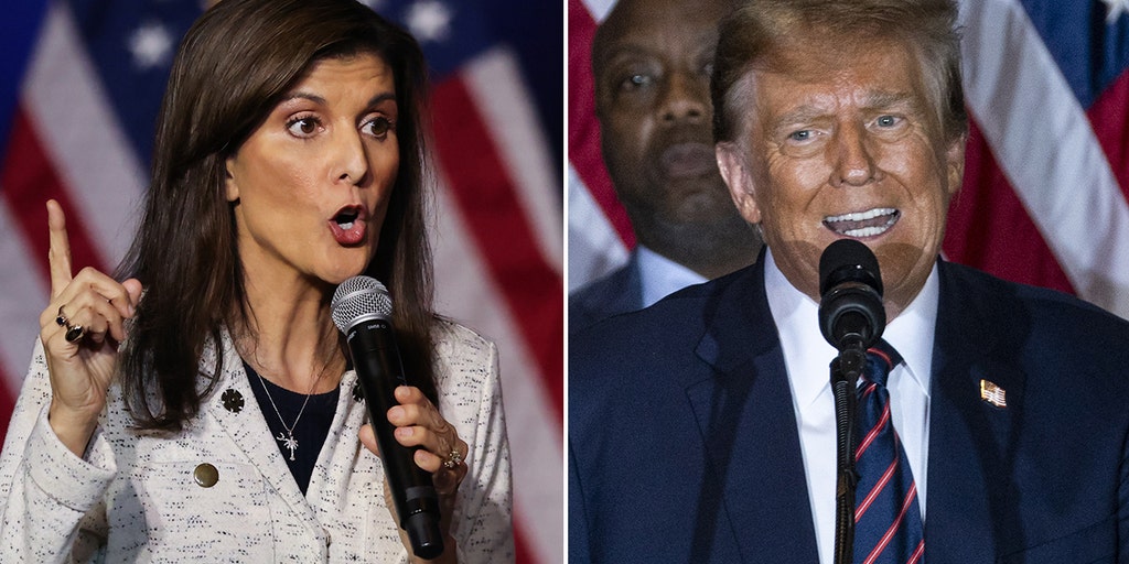 Haley accuses Trump of 'playing politics' with border crisis as he urges Senate to kill immigration bill - Vimarsana News