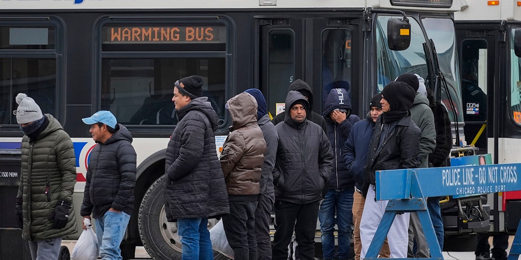 Immigration impacts Black community differently when looking through lens of 'scarcity' or 'abundance': author - Vimarsana News