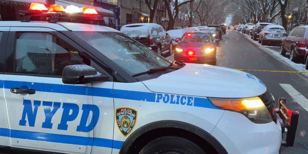 Two NYPD officers shot trying to apprehend 'violent criminal' assaulting his mother: police - Vimarsana News