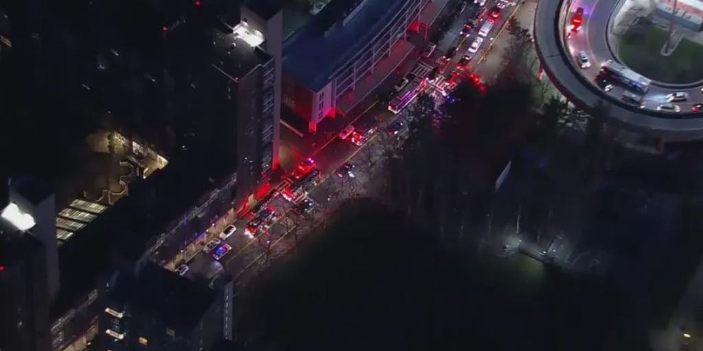 Small earthquake hits NYC leading to buildings to shake - Vimarsana News