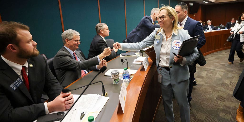 Georgia Senate Committee advances revised antisemitism bill - Vimarsana News