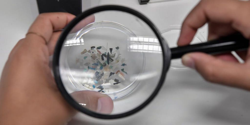 Microplastics found in overwhelming majority of American meat, water, plants: study - Vimarsana News