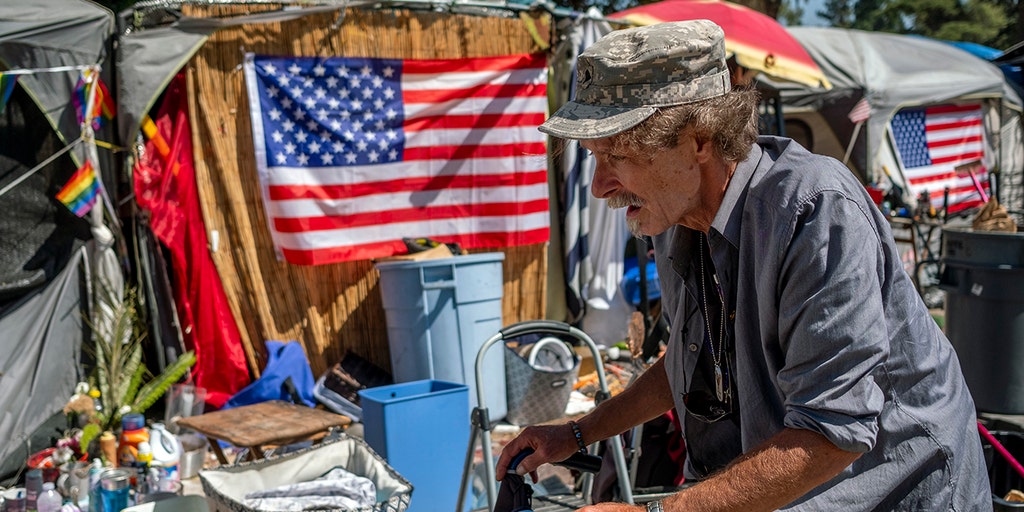 VA sets record for most homeless veterans placed in housing: report - Vimarsana News