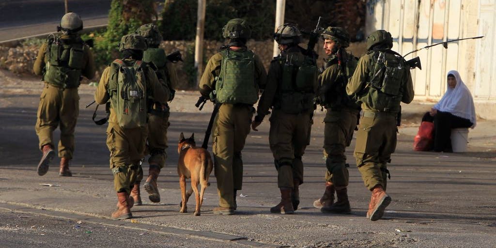 Israeli forces reveal footage of K9 unit clearing houses in Gaza, uncovering Hamas weapons - Vimarsana News