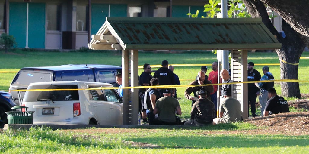 Honolulu manhunt ends with fatal police shootout on New Year's Day - Vimarsana News
