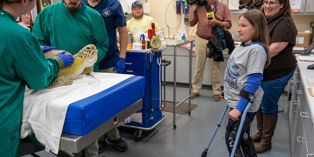 Georgia tween with spina bifida meets adopted sea turtle with matching disability: 'Felt a connection' - Vimarsana News