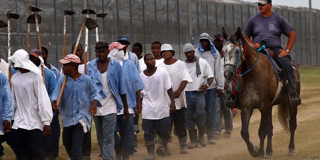 Investigation finds links between U.S. prison labor and food companies - Vimarsana News