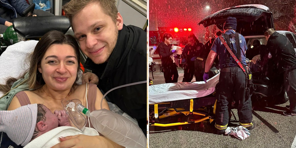 Wisconsin woman gives birth in McDonald's parking lot amid snowstorm, nicknames baby 'McFlurry' - Vimarsana News