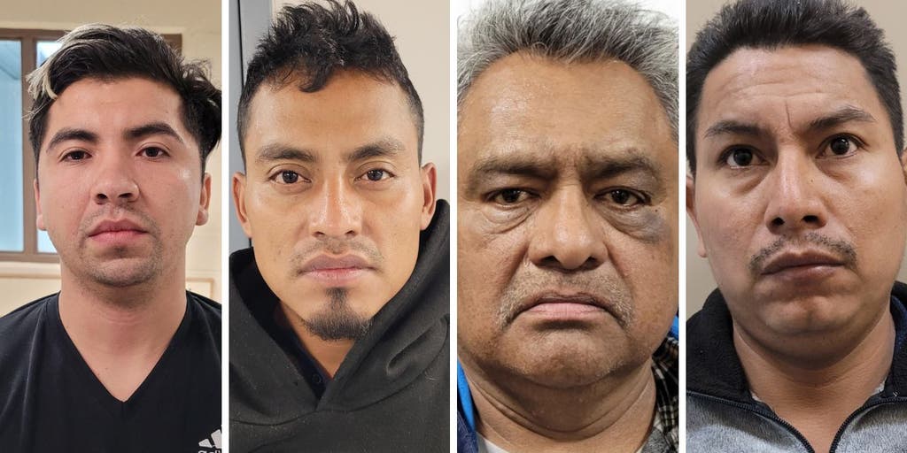 Border patrol nab sex offenders and convicted murderer trying to cross border - Vimarsana News