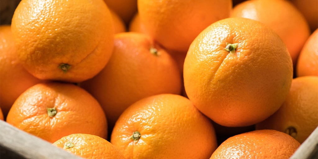 California to strip fruit from trees on over 2K properties to stop invasive bug - Vimarsana News