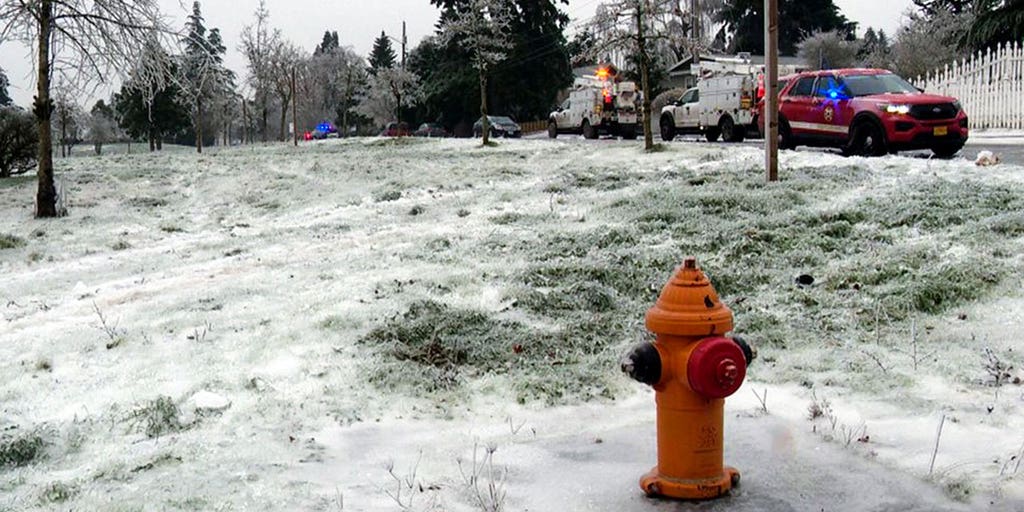 3 killed in Oregon after power line falls on car during ice storm - Vimarsana News
