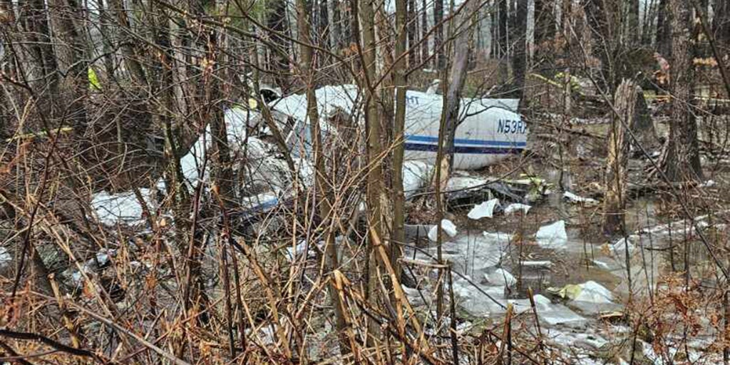 Small plane crashes in New Hampshire; pilot 'lucky' to survive - Vimarsana News