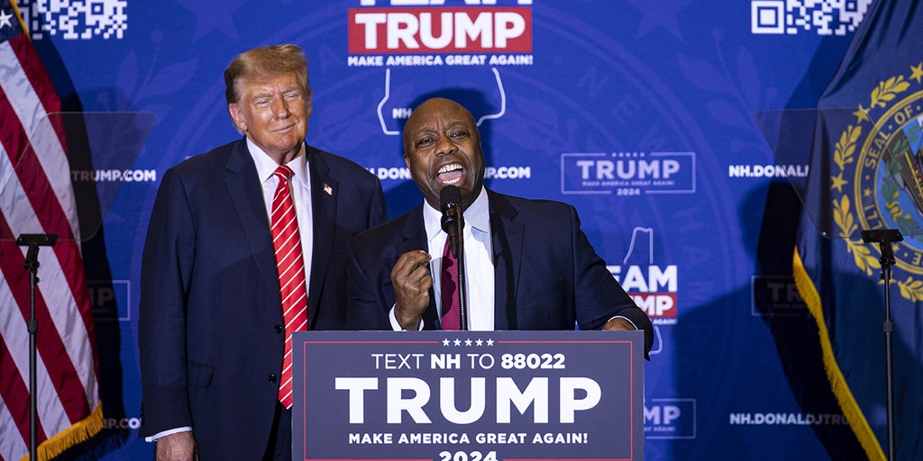 Tim Scott hits back at Chris Sununu for implying he owed Nikki Haley his endorsement - Vimarsana News