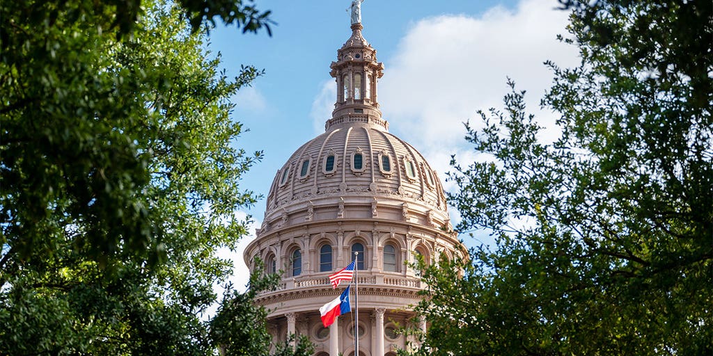 Texas: the best tourism spots for the whole family - Vimarsana News