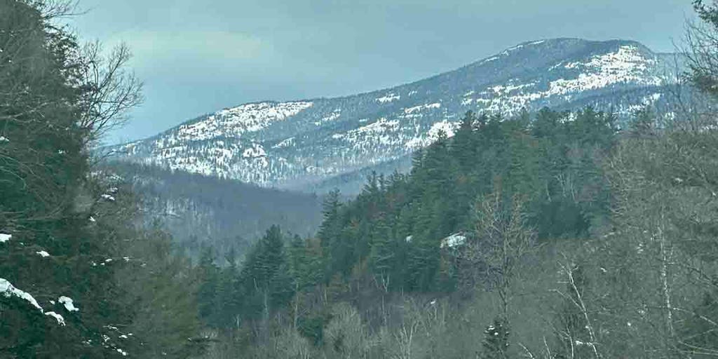 NY hiker clung to tree above Adirondack cliff after sliding hundreds of feet: 'Thought she was going to die' - Vimarsana News