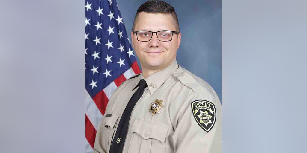 Georgia deputy struck and killed by police car during high-speed chase of stolen car into Alabama - Vimarsana News