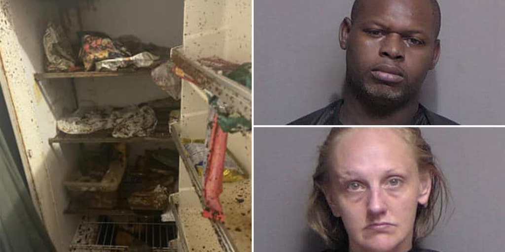 Florida couple arrested after 3 children found living in 'deplorable' conditions - Vimarsana News