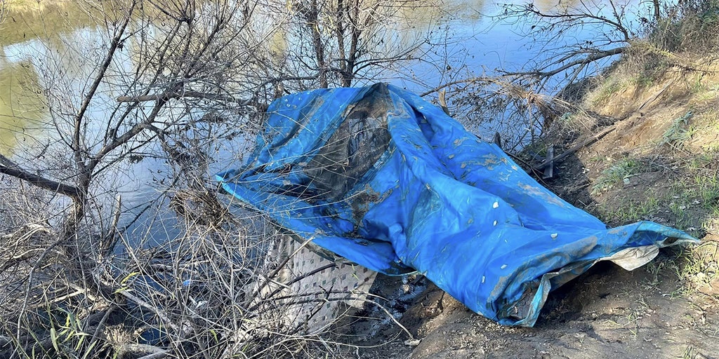 Democrats to send $600M in federal dollars to California, combat homelessness - Vimarsana News