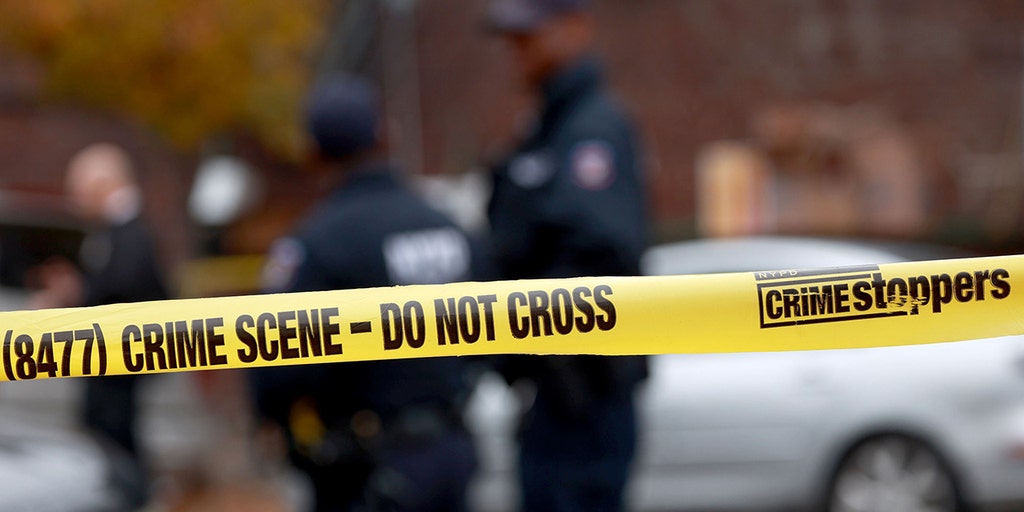 NYPD arrest suspect in Queens serial stabbings that injured 5 - Vimarsana News