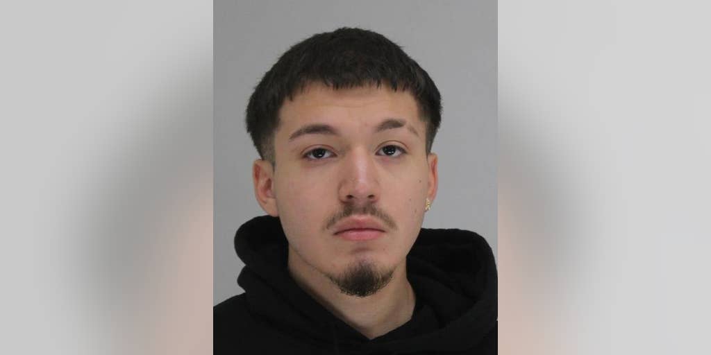 Texas shootout outside library between teens began when one used fake money to buy AR-15, courts docs say - Vimarsana News