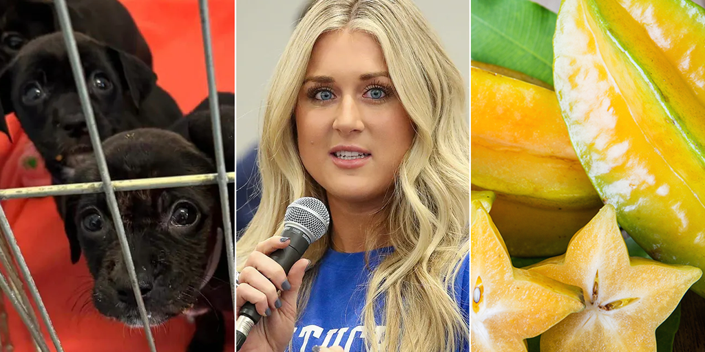 Weekend read: Best stories of the week in Lifestyle in case you missed them - Vimarsana News
