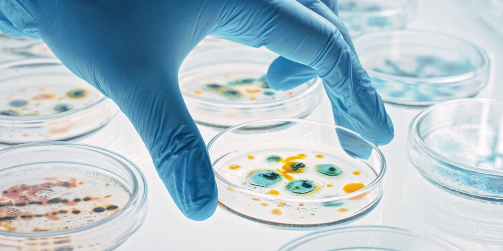 Antibiotic kills deadly, drug-resistant bacteria in 'scientific breakthrough' - Vimarsana News