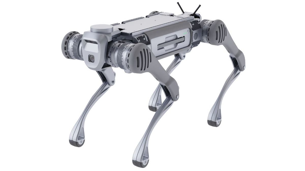 Robot sales dog company