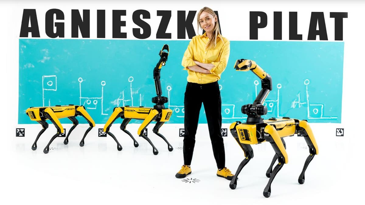 robot dog 1