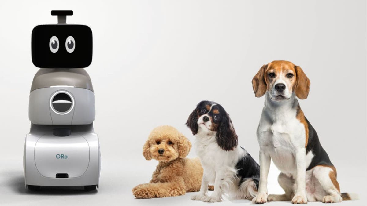 Top 10 Tech Of CES 2024 Fox News   19 Top 10 Tech Of CES 2024ORO And Dogs 1 