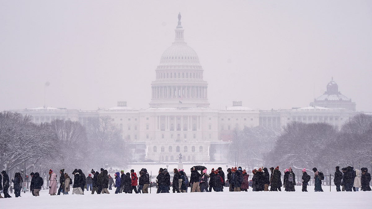 Pro-life demonstrators gather on the National Mall in the snow