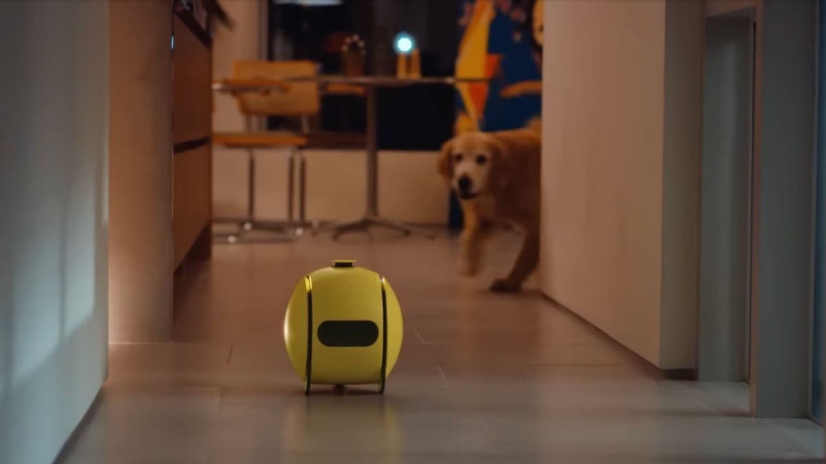 Giant tennis ball-looking AI robot ball doubles as home helper, projector