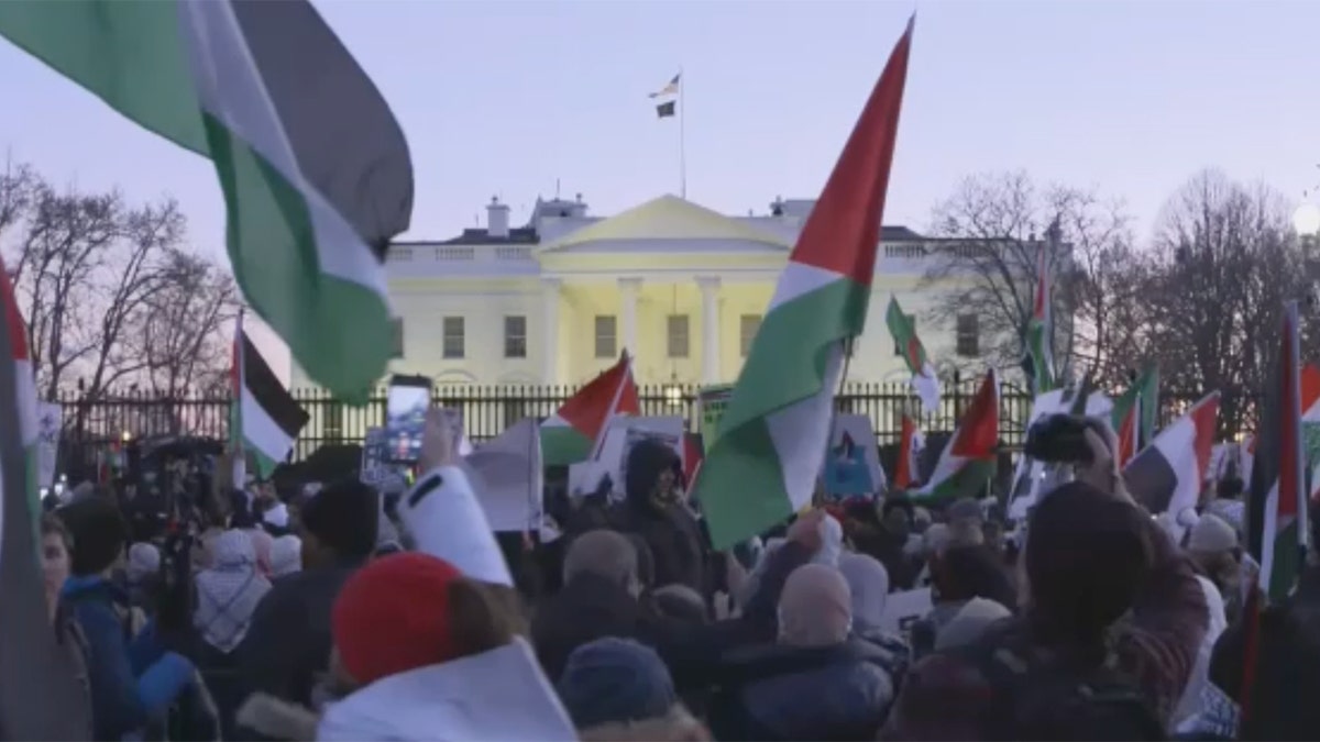 Palestinian flags outside WH