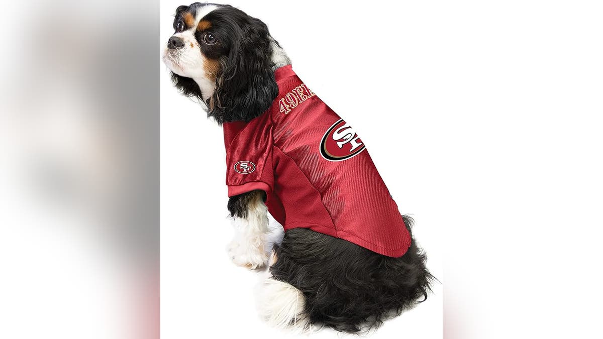 San Francisco 49ers NFL Gray Dog Dress