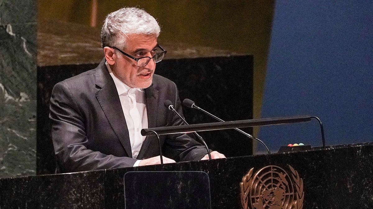 Iran official speaks to UN