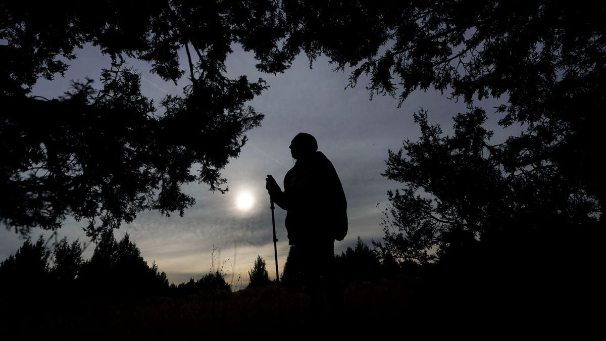 Delaine Spilsbury, an Ely Shoshone elder, silhouetted among the trees