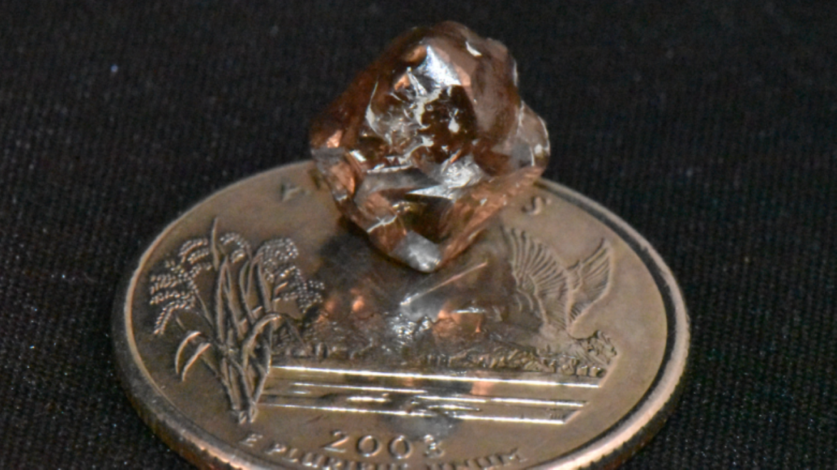 Close-up of brown diamond on a coin