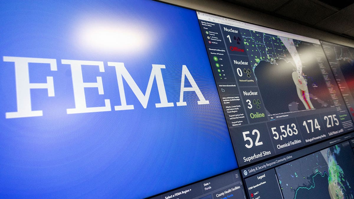 FEMA computer display