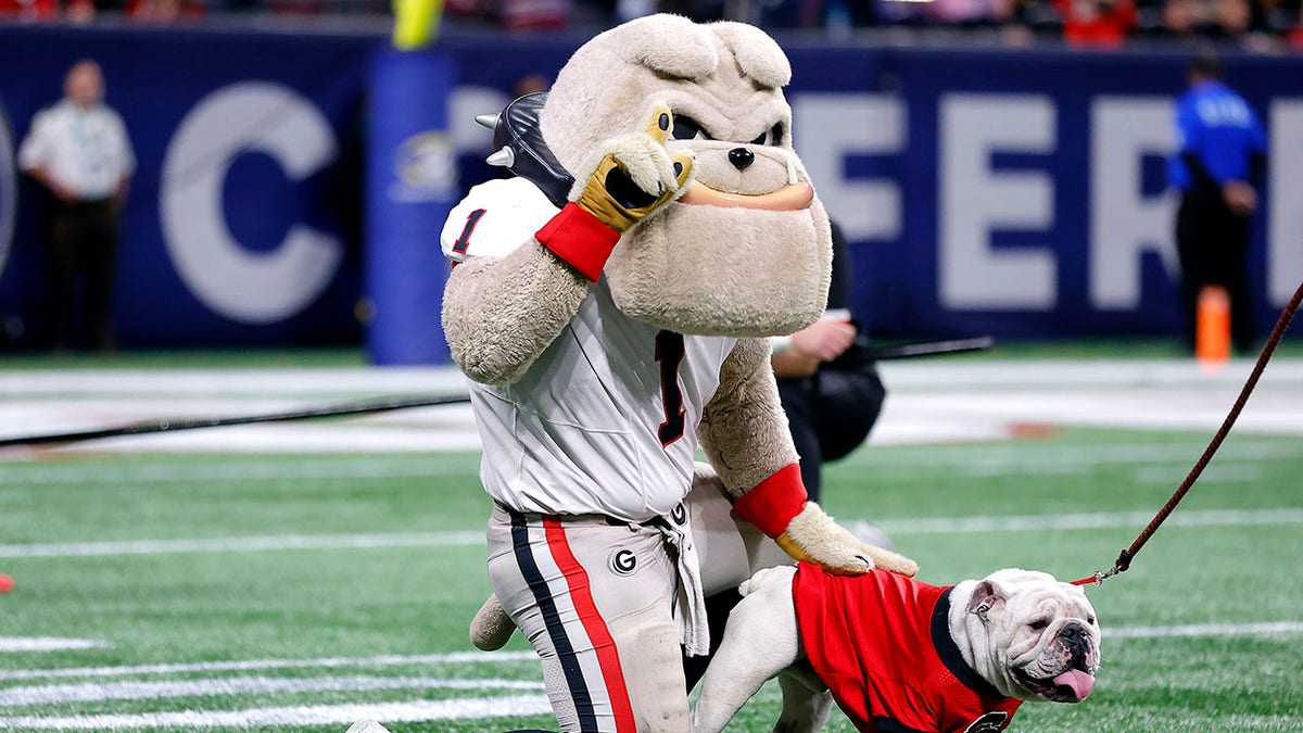 Georgia Bulldogs mascot Hairy Dawg and Uga X