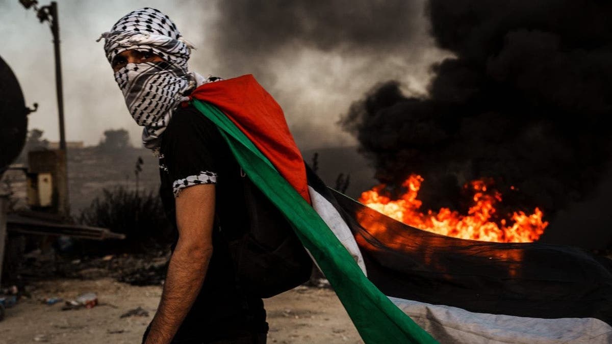 Mask of the Palestinian flag
