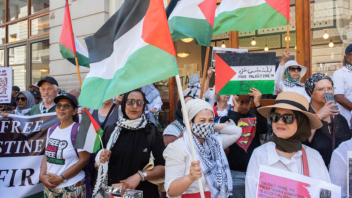 Pro-Palestine demonstrators in South Africa